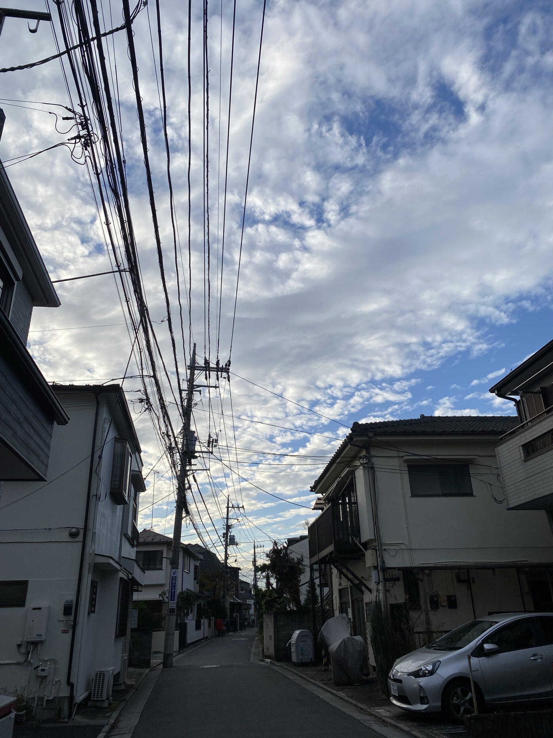 Fils électriques | franckinjapan